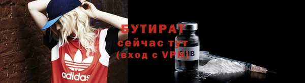 сатива Дмитровск