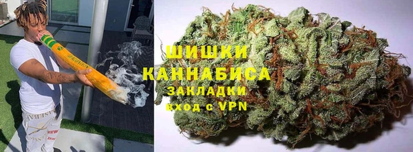 сатива Дмитровск