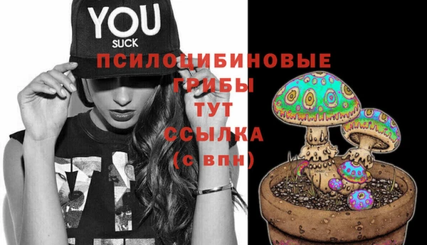 сатива Дмитровск