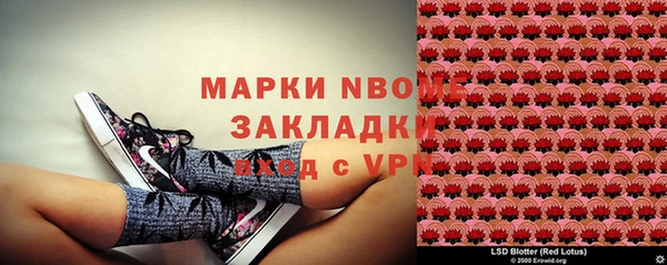 сатива Дмитровск