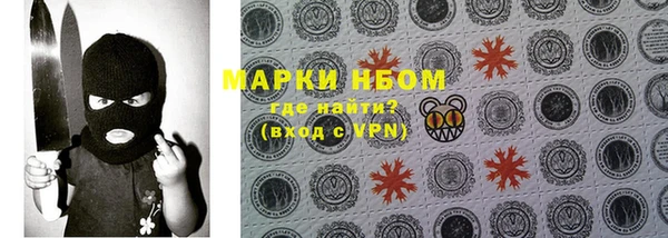 сатива Дмитровск