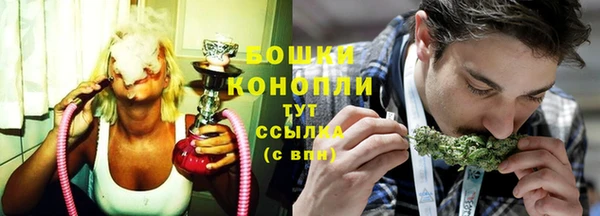 сатива Дмитровск
