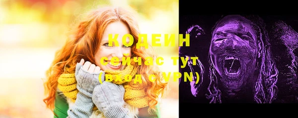 сатива Дмитровск
